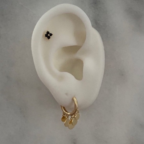 New Drop! Gold Huggie Hoop Fringe Coin Dangle Earrings
Brand New - Picture 2 of 3